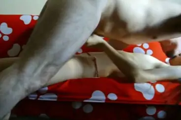 Anak Gaul Sewa Hotel Mahal Demi ML Liar Sepuas Nya Hot